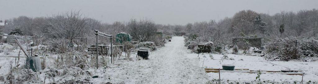view to top gate 2018